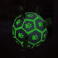 🎉Second one half price🎁🐕Dog Soccer Toy⚽