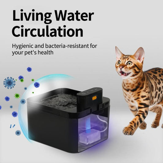 🎁2026 New Arrivals 60% OFF💥Smart Motion-Sensing Cat Water Fountain – Fresh Flowing Water, Only When Your Cat Approaches! | Encourages Drinking, Prevents UTIs 🩺💚
