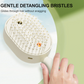 🔥Free Shipping & 50% OFF🔥Electric Spray & Massage Hair Brush