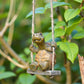 🏆 Surprise Price: Only £14.99!!! 🐢 Whimsical Turtle Swing Decor – A Charming Hanging Ornament for Garden, Patio & Indoor Spaces 🌿✨