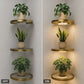 📢📢50% OFF !! ⏰Floating Wall Shelf with Built-in Ambient LED Light