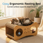 Double-Layer Curved Cat Scratcher