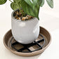 🌿🌹Root-Saving Pot Riser – elevates planters, promotes airflow, keeps floors clean – for indoor & outdoor use. 🔥🏠