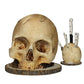 💀🔪 Skull Resin Knife Holder – 50% OFF! Macabre design, sturdy resin, no installation – store & display your knives in style. 🔥🏠