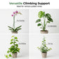 🌿✨ Natural Branch Plant Support Stake – 50% OFF! Adjustable segments, all-weather durable, blends into foliage – upright growth support. 💪