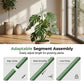🌿✨ Natural Branch Plant Support Stake – 50% OFF! Adjustable segments, all-weather durable, blends into foliage – upright growth support. 💪