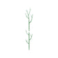 🌿✨ Natural Branch Plant Support Stake – 50% OFF! Adjustable segments, all-weather durable, blends into foliage – upright growth support. 💪