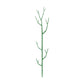 🌿✨ Natural Branch Plant Support Stake – 50% OFF! Adjustable segments, all-weather durable, blends into foliage – upright growth support. 💪