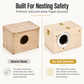 🐦✨ Solid Pine Wood Bird Nesting Box – 50% OFF! Chemical-free wood, metal bolt mounts, bite-resistant rings – safe nesting for small birds.🏠